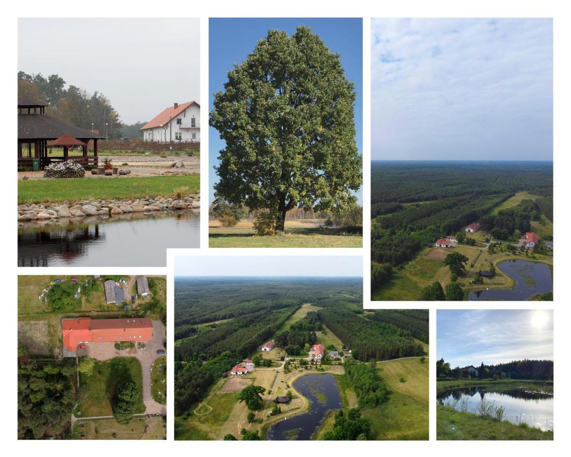 Gospodarstwo Agroturystyczne Zasadkowe Bory Rogowo  Exterior photo